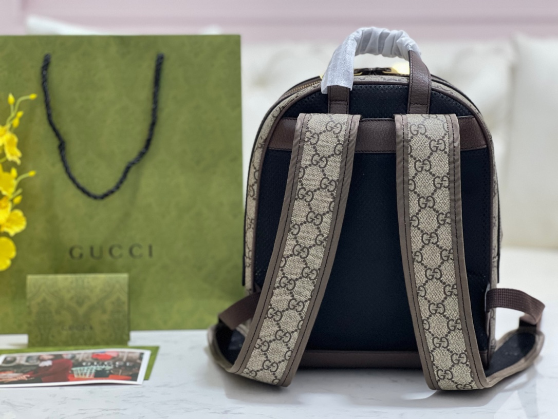 GUCCI  Ophidia small backpack | 547965