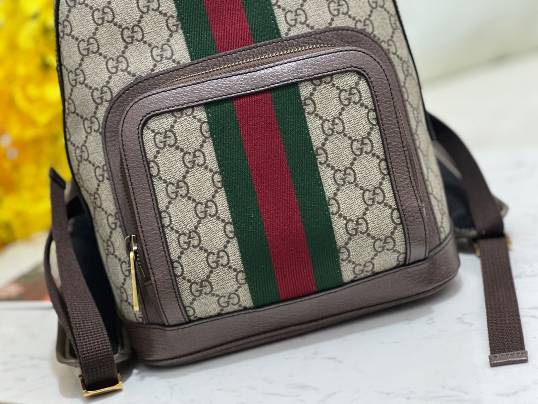 GUCCI  Ophidia small backpack | 547965