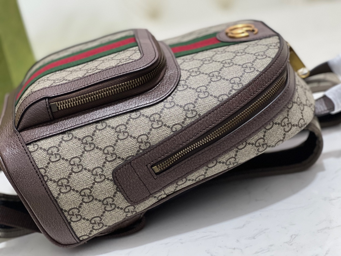 GUCCI  Ophidia small backpack | 547965