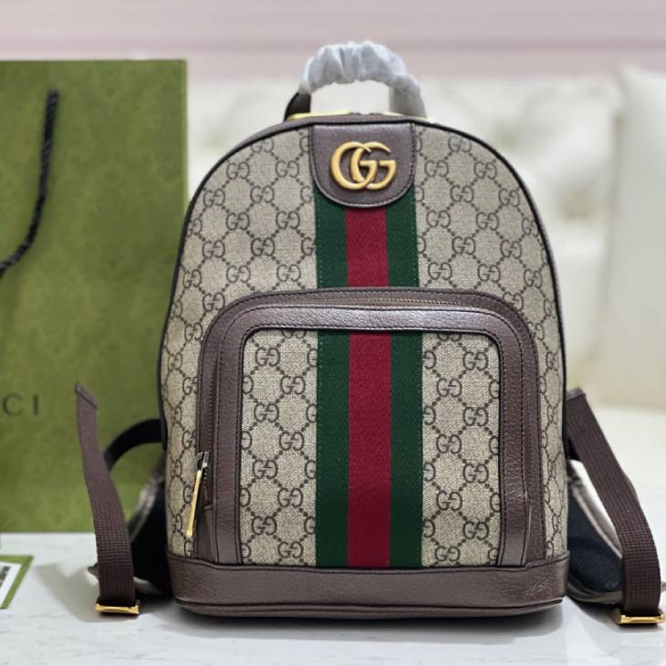 GUCCI  Ophidia small backpack | 547965