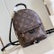  LV  Palm Springs Mini Backpack | M44873