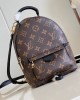  LV  Palm Springs Mini Backpack | M44873