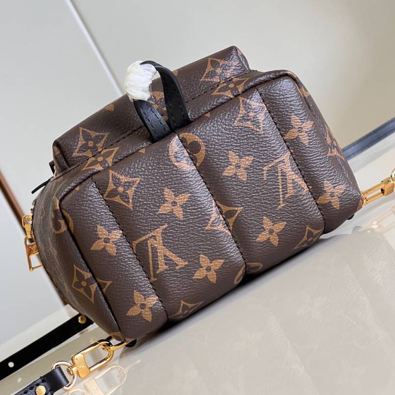  LV  Palm Springs Mini Backpack | M44873