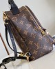  LV  Palm Springs Mini Backpack | M44873