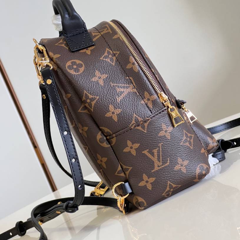  LV  Palm Springs Mini Backpack | M44873