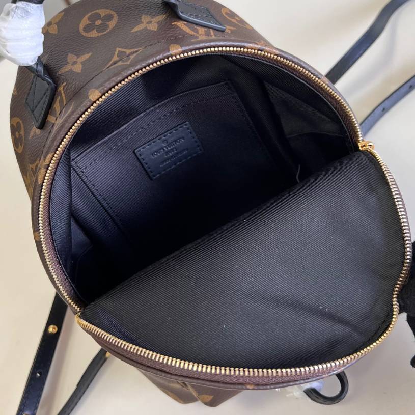  LV  Palm Springs Mini Backpack | M44873