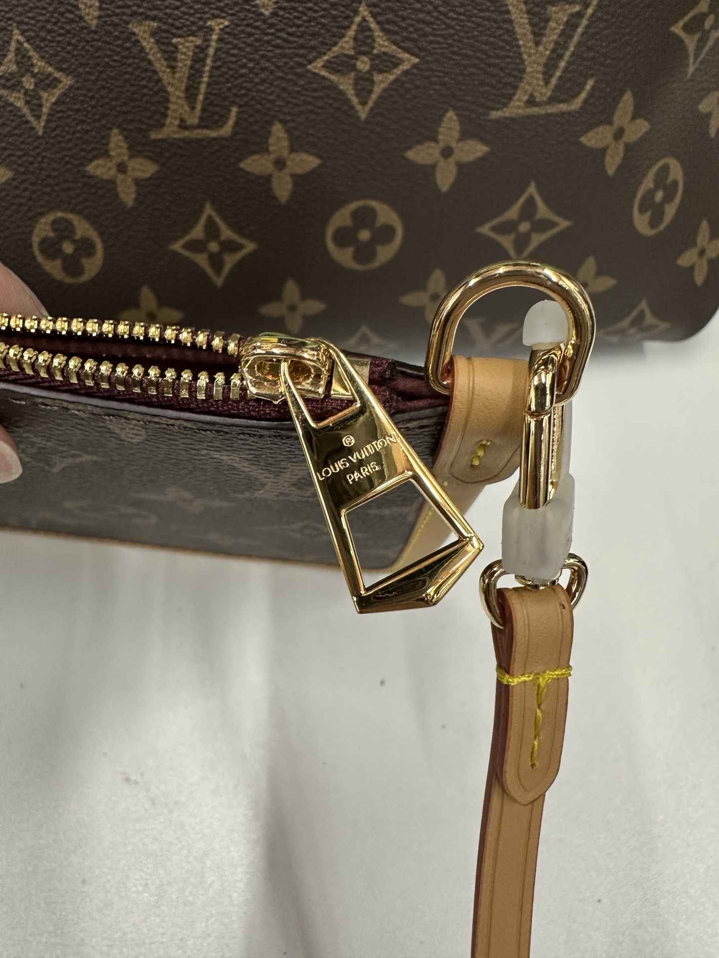 LV CarryAll PM Bag | M46203