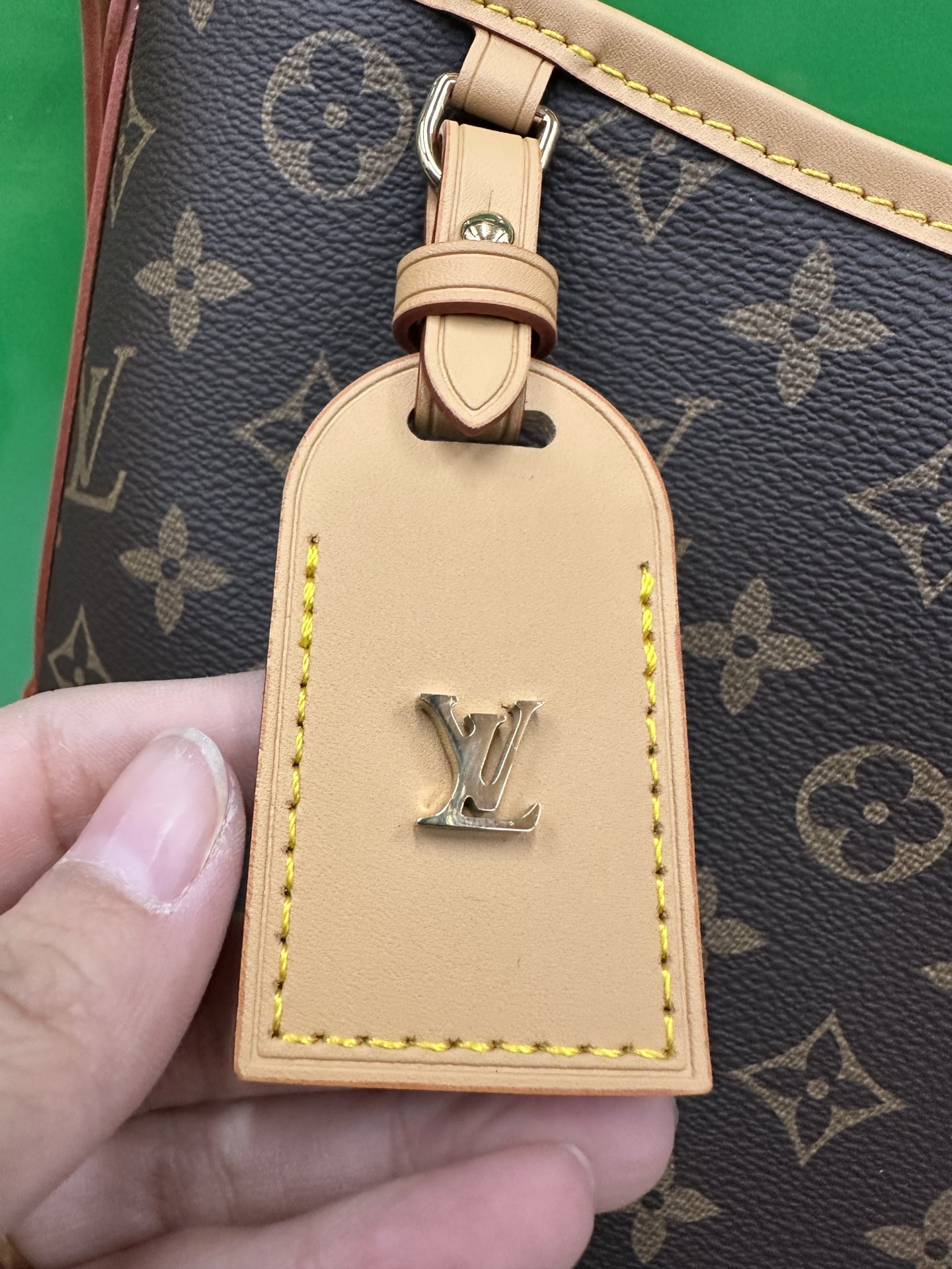 LV CarryAll PM Bag | M46203