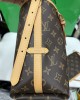 LV CarryAll PM Bag | M46203