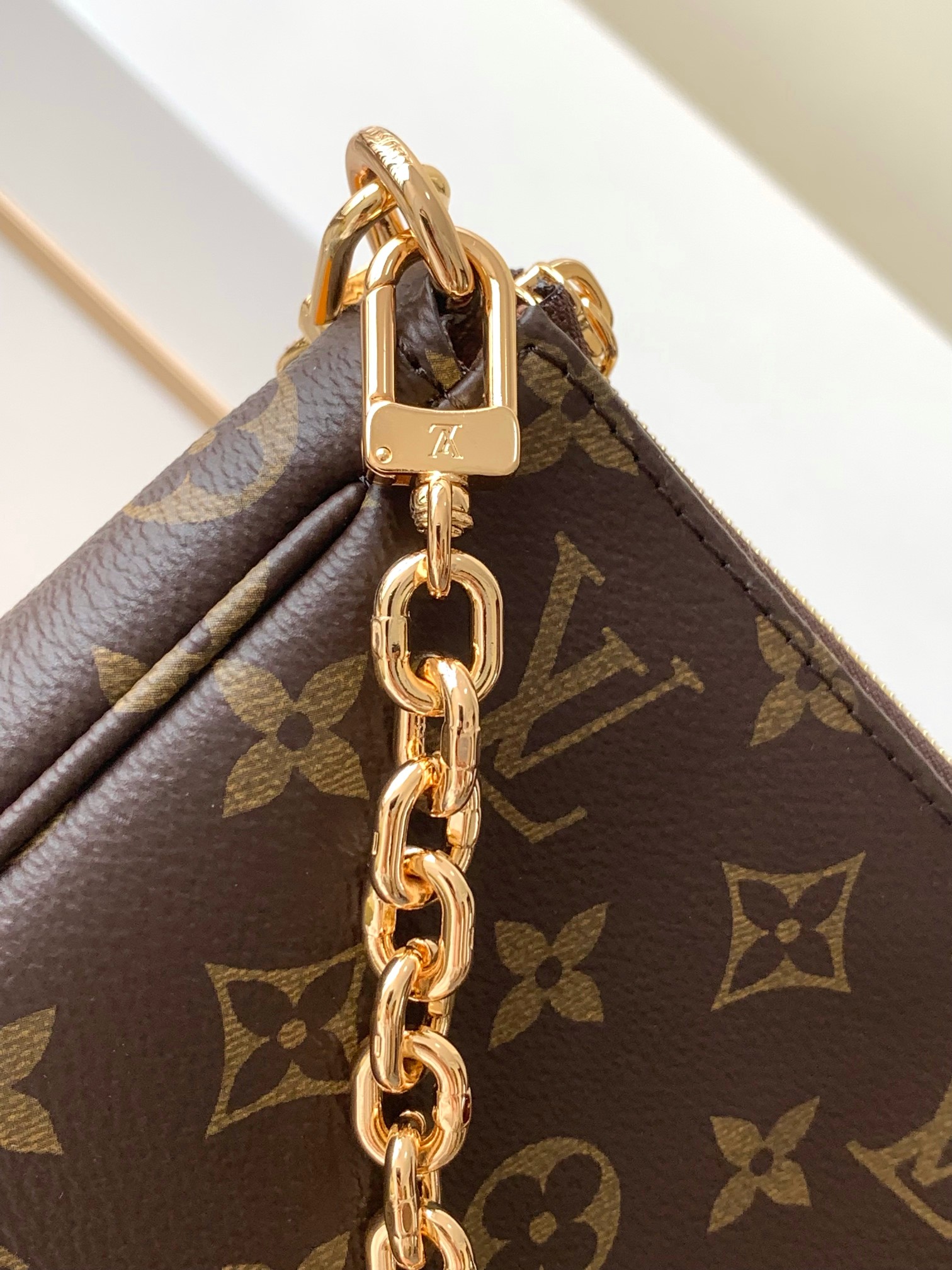  LV Pochette Accessoires Bag | M82766